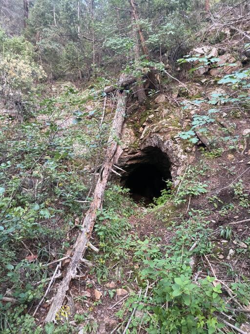 Sodacreek Look-Out .3 Mi From I70 + Hotsprings アイダホ・スプリングス エクステリア 写真