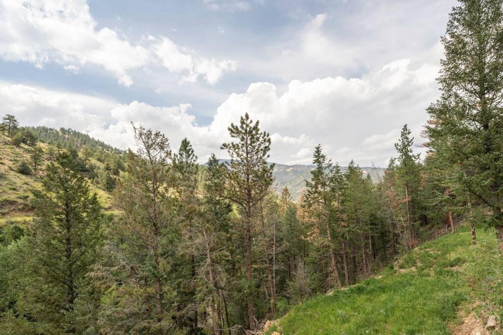 Sodacreek Look-Out .3 Mi From I70 + Hotsprings アイダホ・スプリングス エクステリア 写真